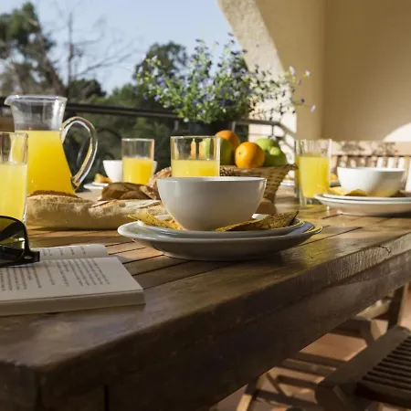 Spacious With Balcony On The East Coast Of Corsica Appartement Linguizzetta